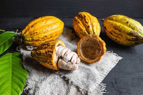 Cacao as a Gateway to the Spirit Realm: Unlocking the Mysteries of the Otherworldly